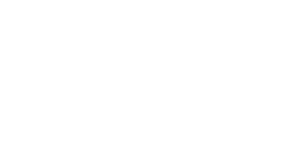 SCHWORSKPOF